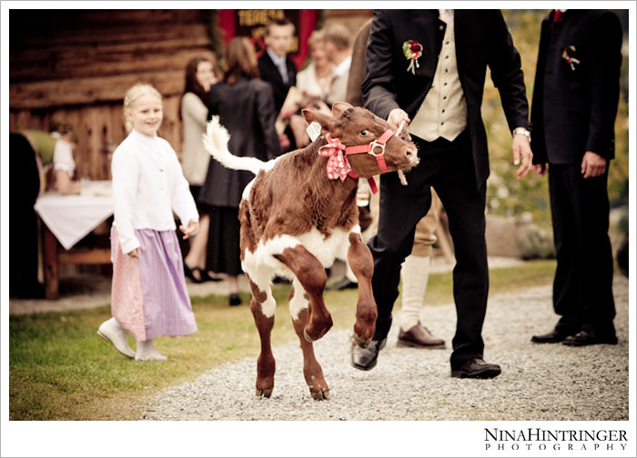 Nina Hintringer Photography - Wedding Photography, Reportage and Destination Weddings