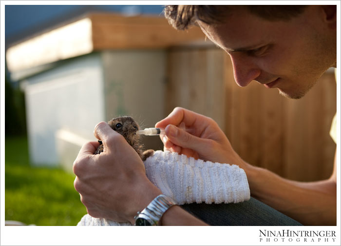 Hare Hugo | 2 years ago - Blog of Nina Hintringer Photography - Wedding Photography, Wedding Reportage and Destination Weddings