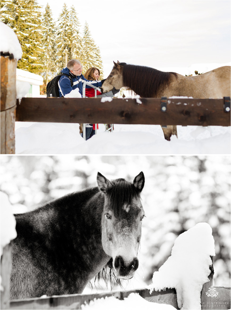 sleigh ride with horses at st. anton am arlberg - Blog of Nina Hintringer Photography - Wedding Photography, Wedding Reportage and Destination Weddings