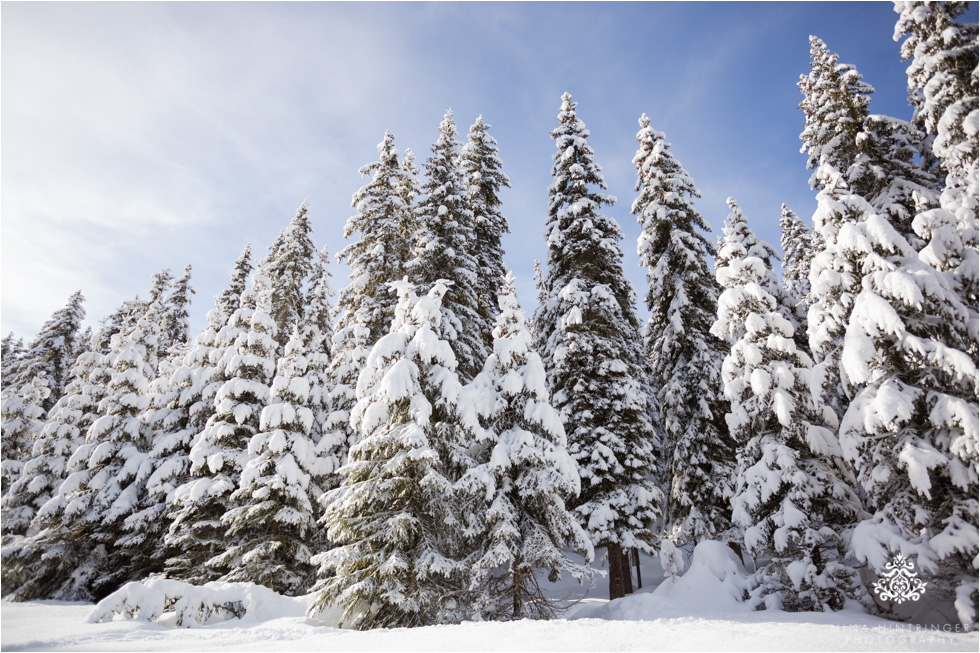 winter wonderland with white trees at the Verwalltal near st. anton at the arlberg - Blog of Nina Hintringer Photography - Wedding Photography, Wedding Reportage and Destination Weddings