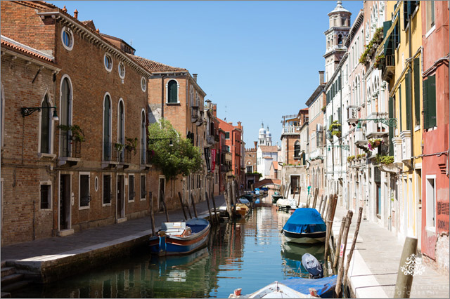 View all posts of Venedig