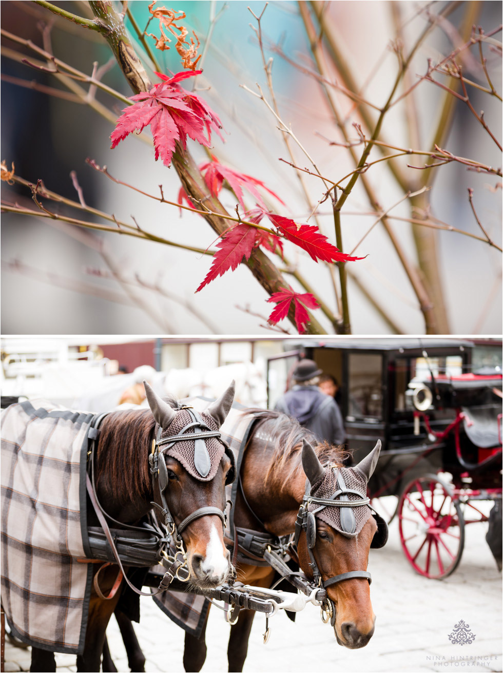 Vienna Engagement Shoot with Amy & Michael from Singapore - Blog of Nina Hintringer Photography - Wedding Photography, Wedding Reportage and Destination Weddings